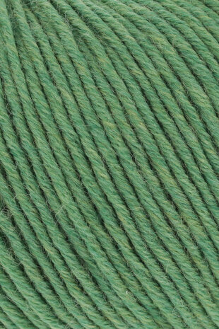 Lang Lang Yarns Merino 120 | 0317 groen melange Lang Lang Yarns Merino 120 | 0317 groen melange