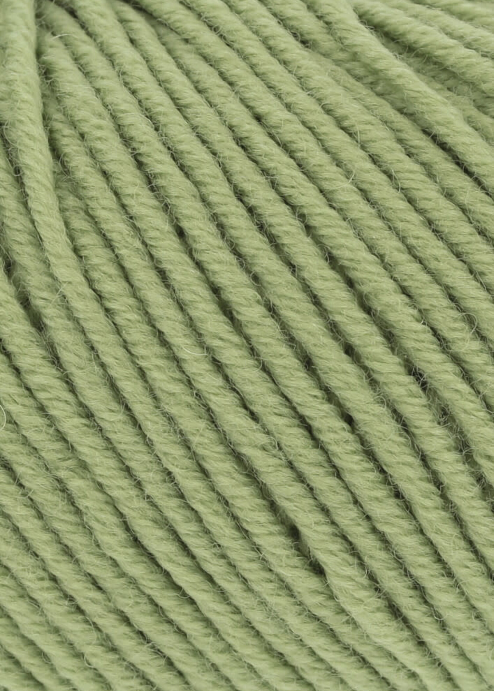 Lang Lang Yarns Merino 120 | 0198 licht olijf