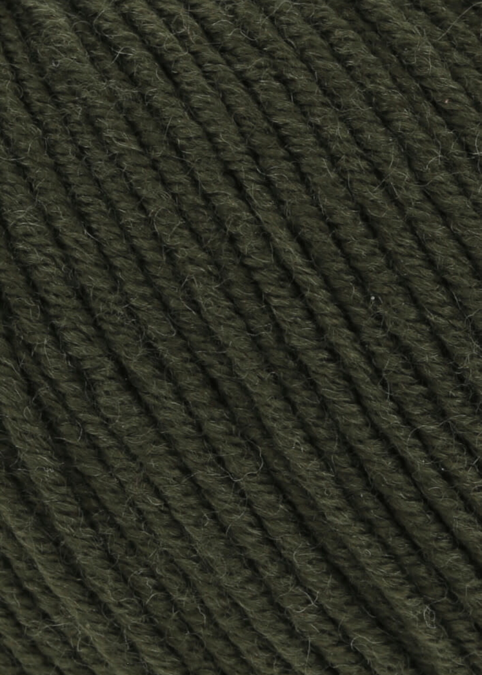 Lang Lang Yarns Merino 120 | 0498 loden groen