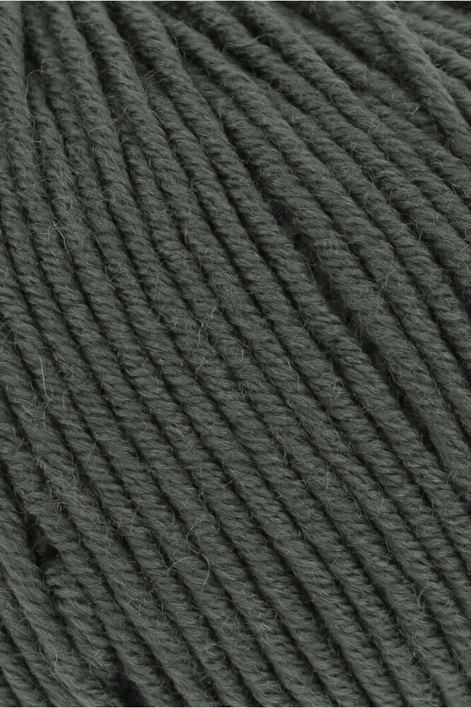 Lang Lang Yarns Merino 120 | 0098 olijf Lang Lang Yarns Merino 120 | 0098 olijf