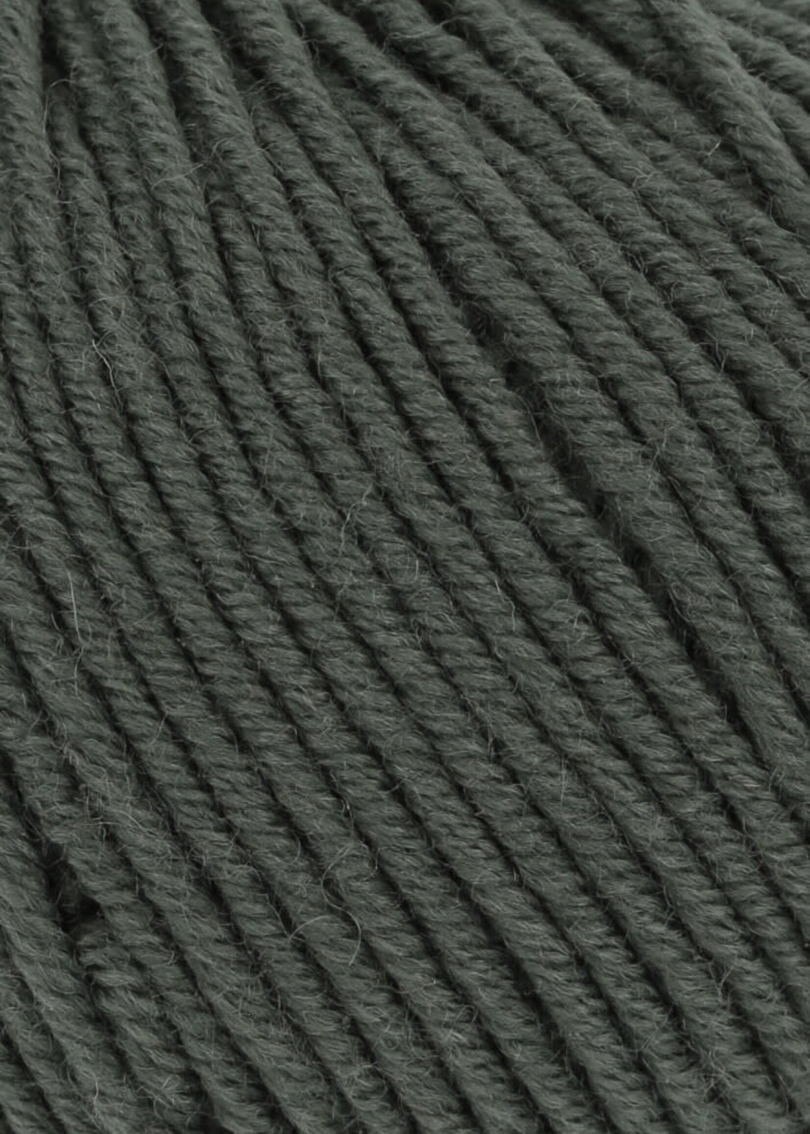 Lang Lang Yarns Merino 120 | 0098 olijf