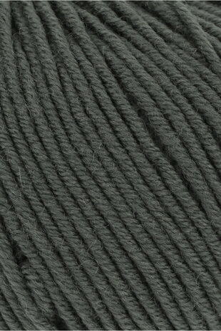 Lang Lang Yarns Merino 120 | 0098 olijf Lang Lang Yarns Merino 120 | 0098 olijf