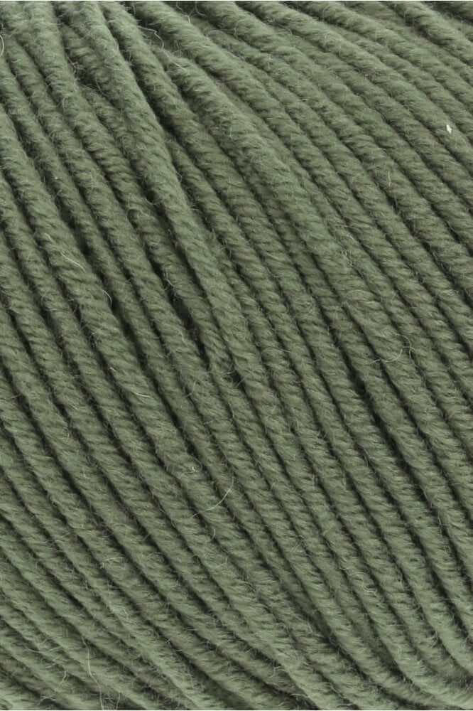 Lang Lang Yarns Merino 120 | 0397 krokodil groen
