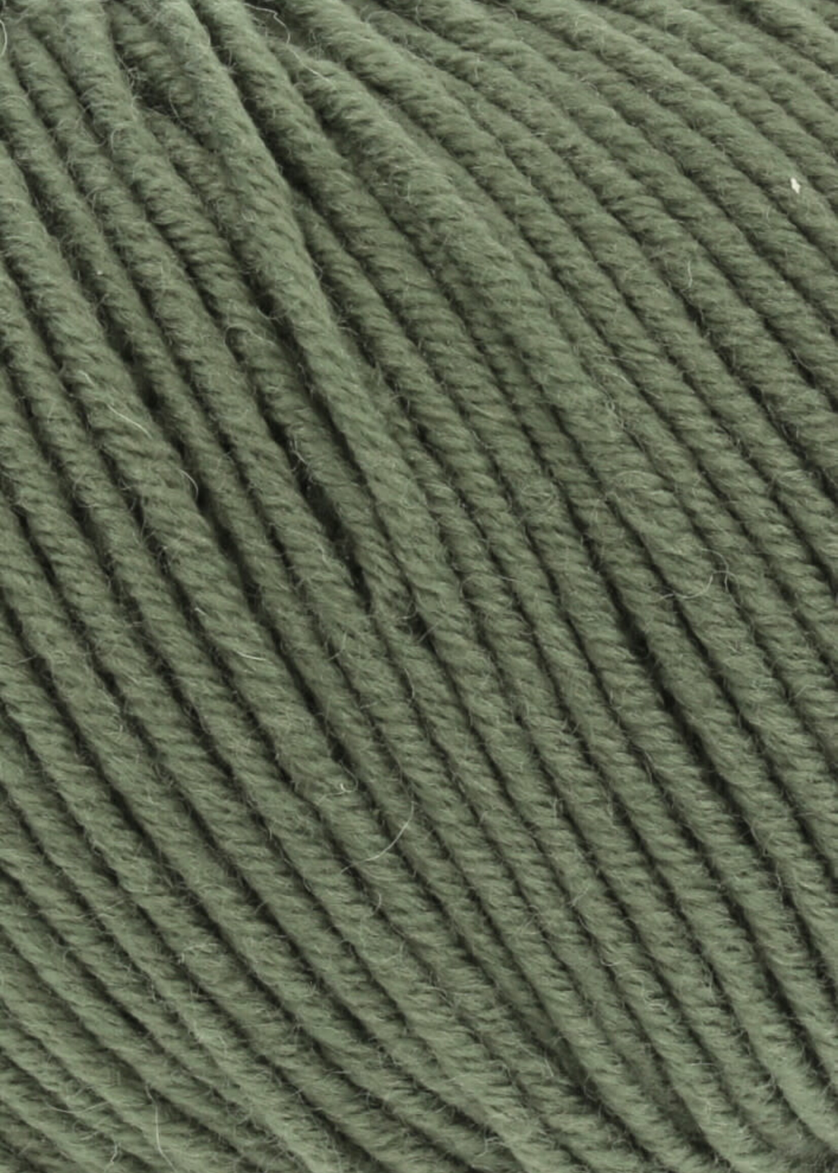 Lang Lang Yarns Merino 120 | 0397 krokodil groen