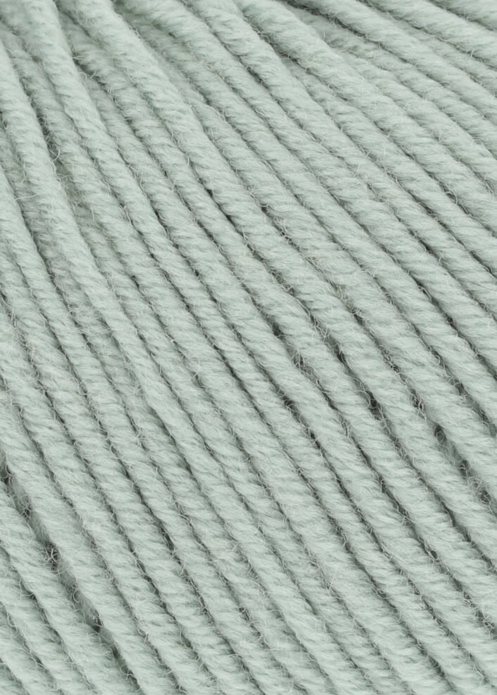 Lang Lang Yarns Merino 120 | 0092 licht groen