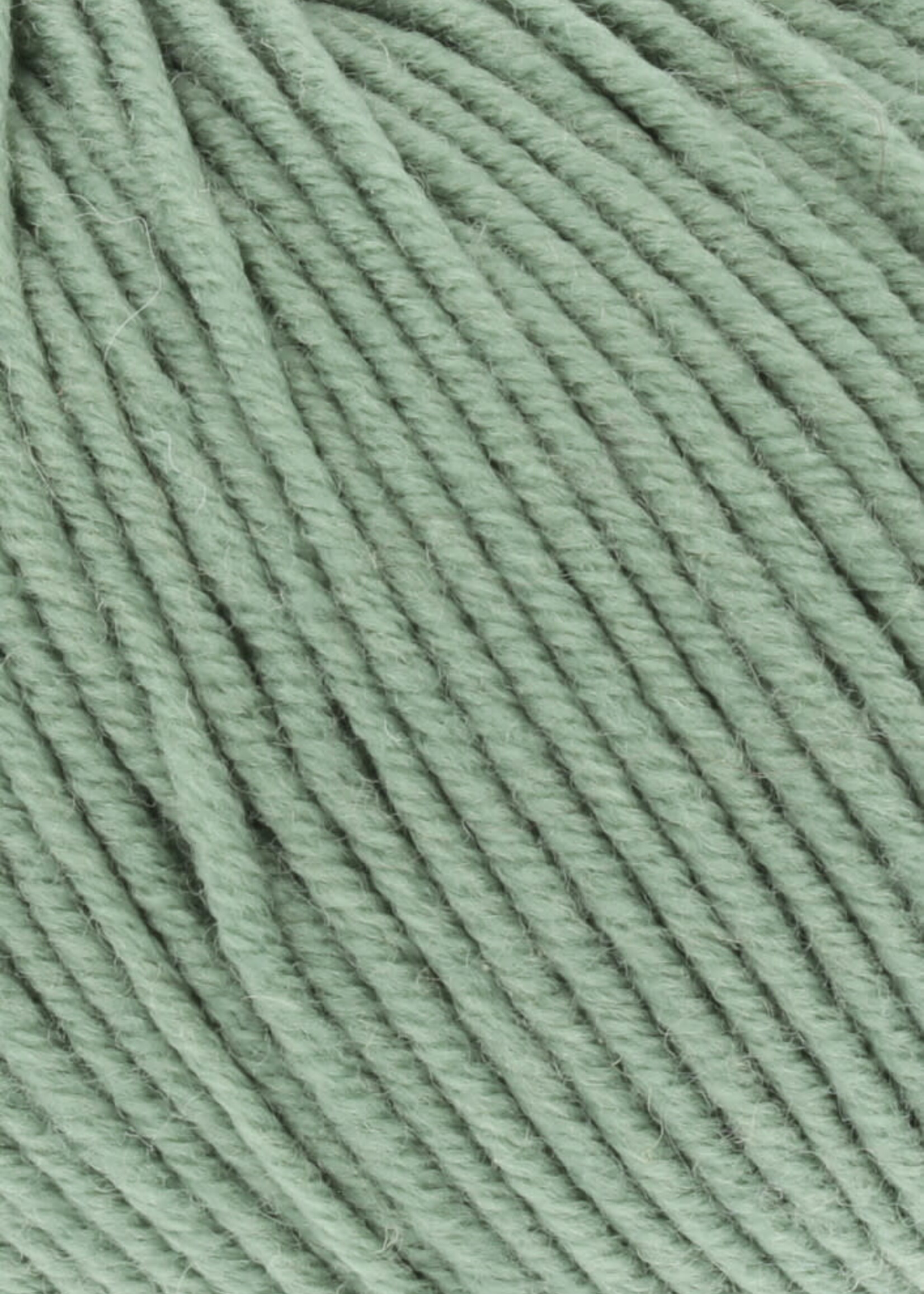 Lang Lang Yarns Merino 120 | 0091 groen