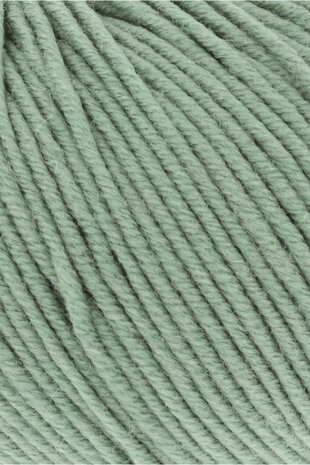 Lang Lang Yarns Merino 120 | 0091 groen Lang Lang Yarns Merino 120 | 0091 groen
