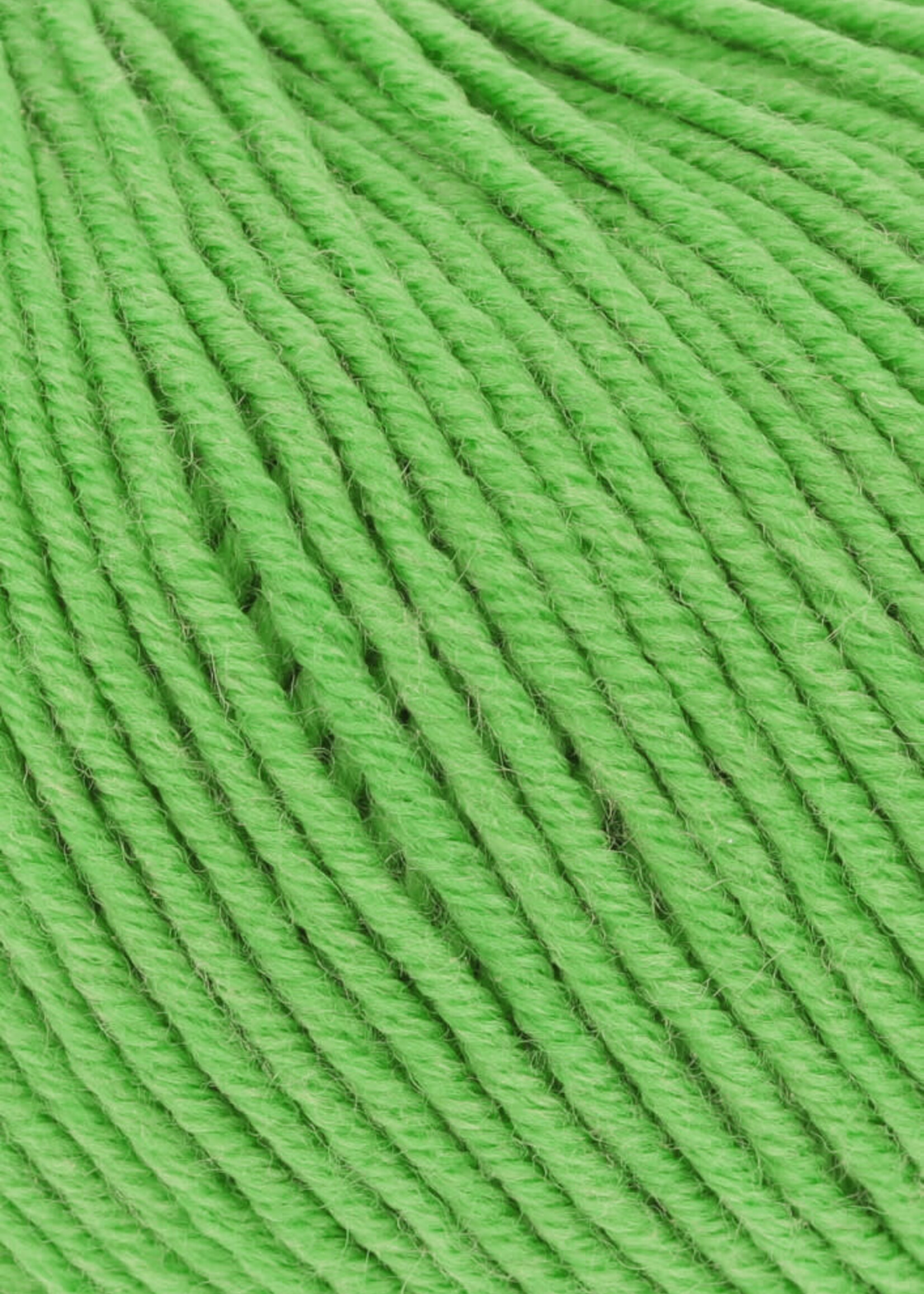 Lang Lang Yarns Merino 120 | 0416 licht groen