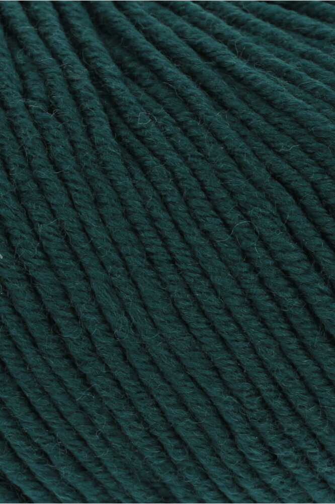 Lang Lang Yarns Merino 120 | 0217 spar groen