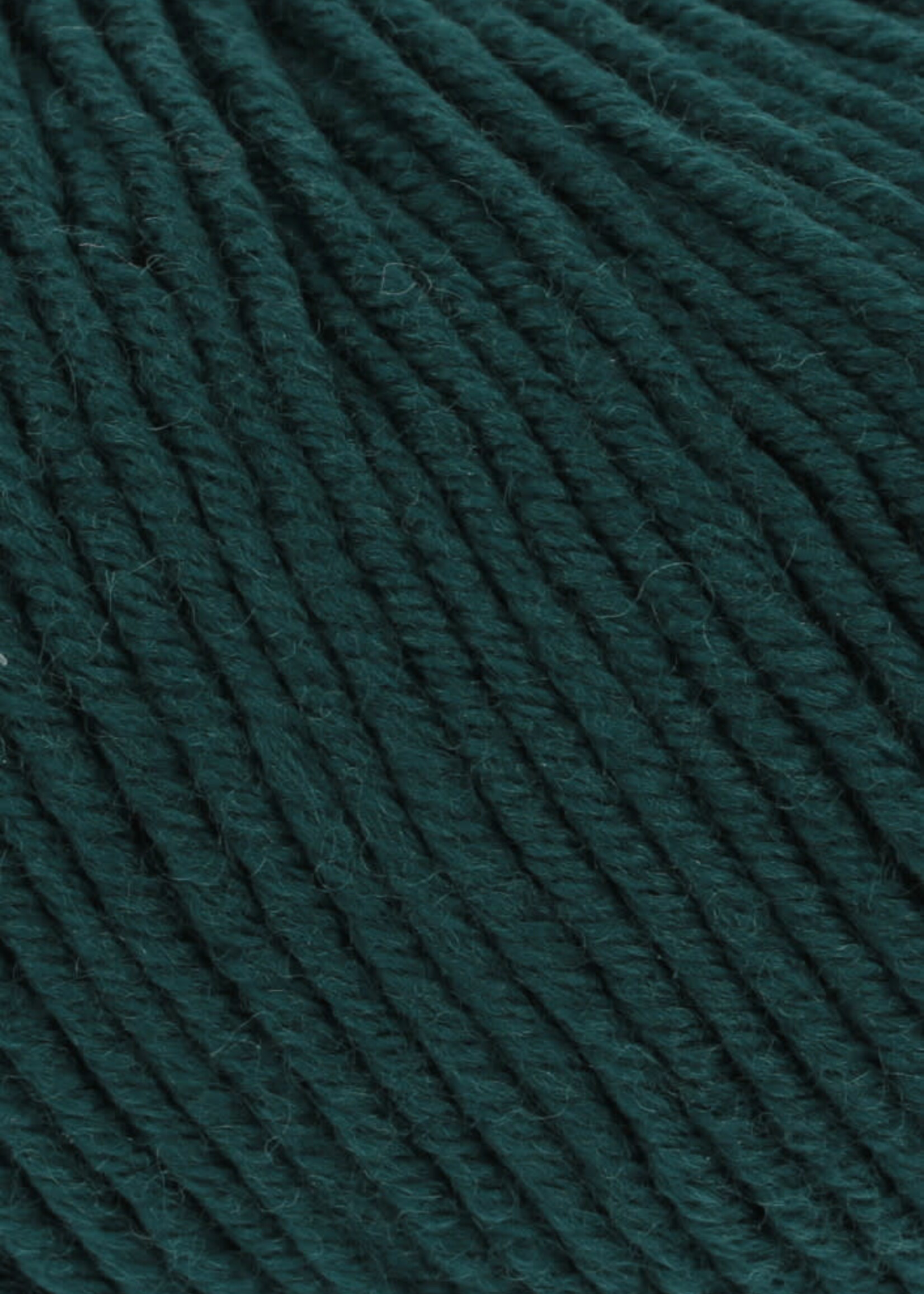 Lang Lang Yarns Merino 120 | 0217 spar groen