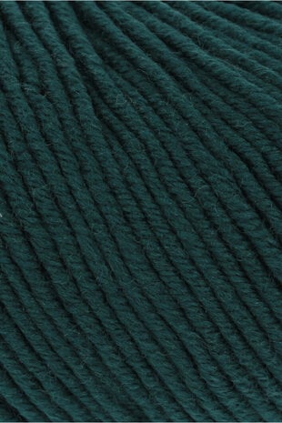 Lang Lang Yarns Merino 120 | 0217 spar groen