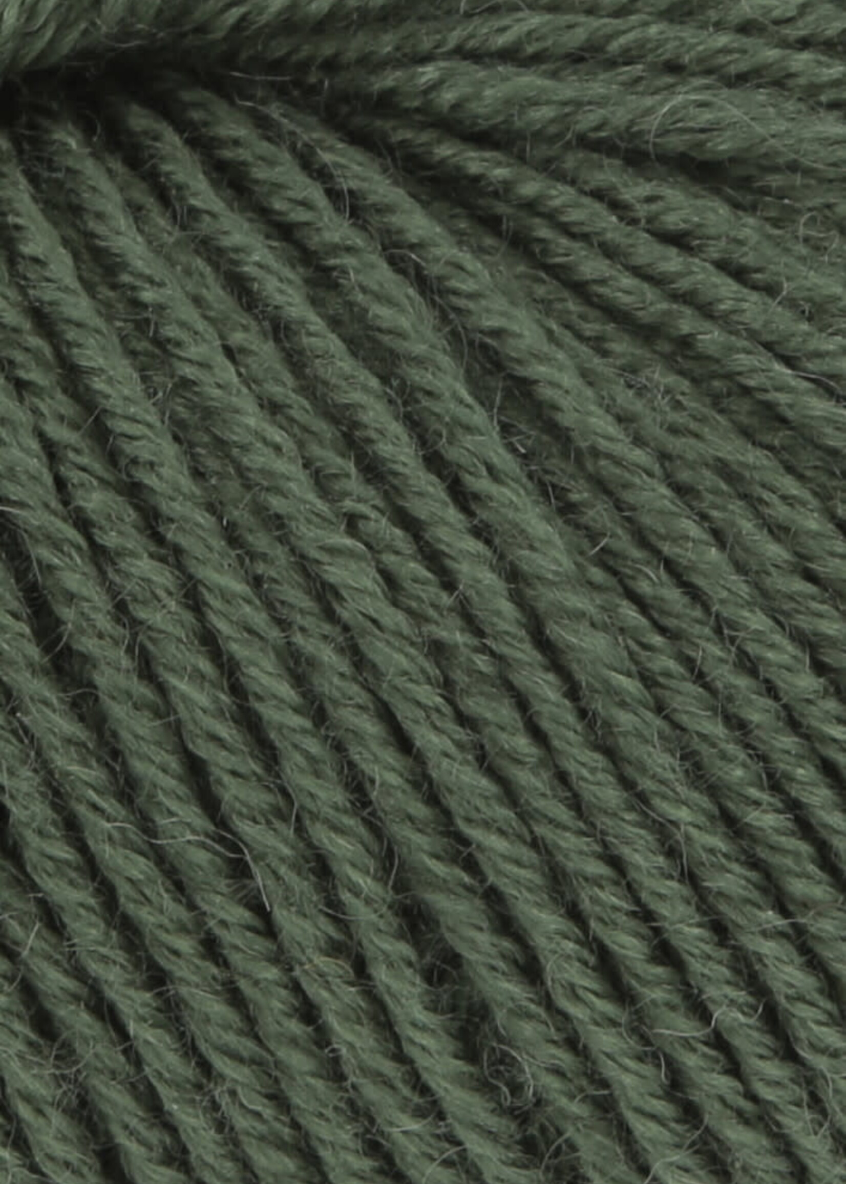 Lang Lang Yarns Atlantis | 0098 olijf