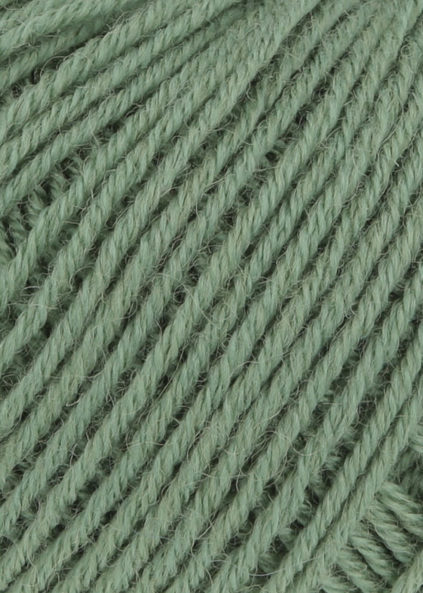 Lang Lang Yarns Atlantis | 0091 klimop groen