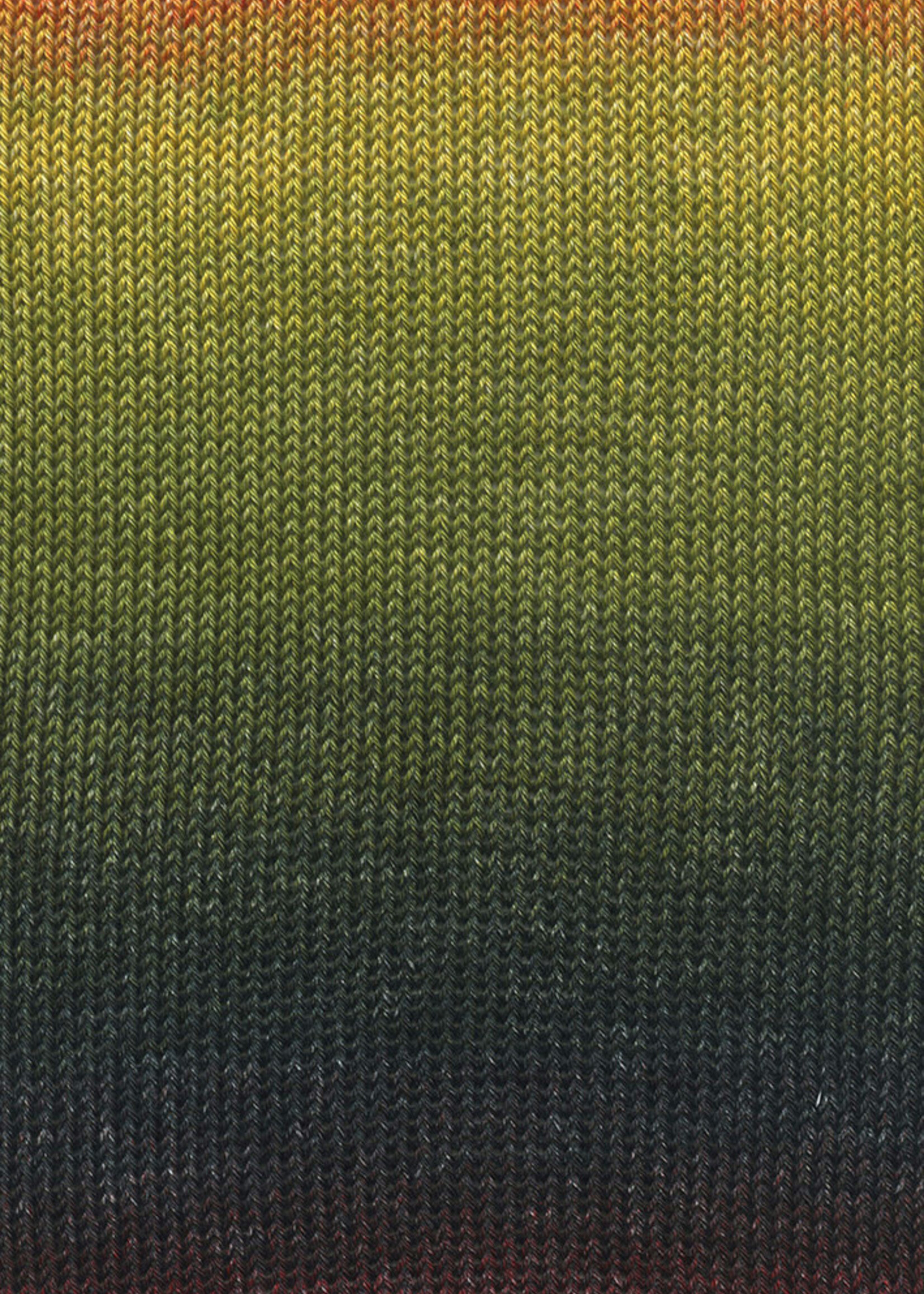 Lang Lang Yarns Quattro Degradé | 0009 groen/rood/geel