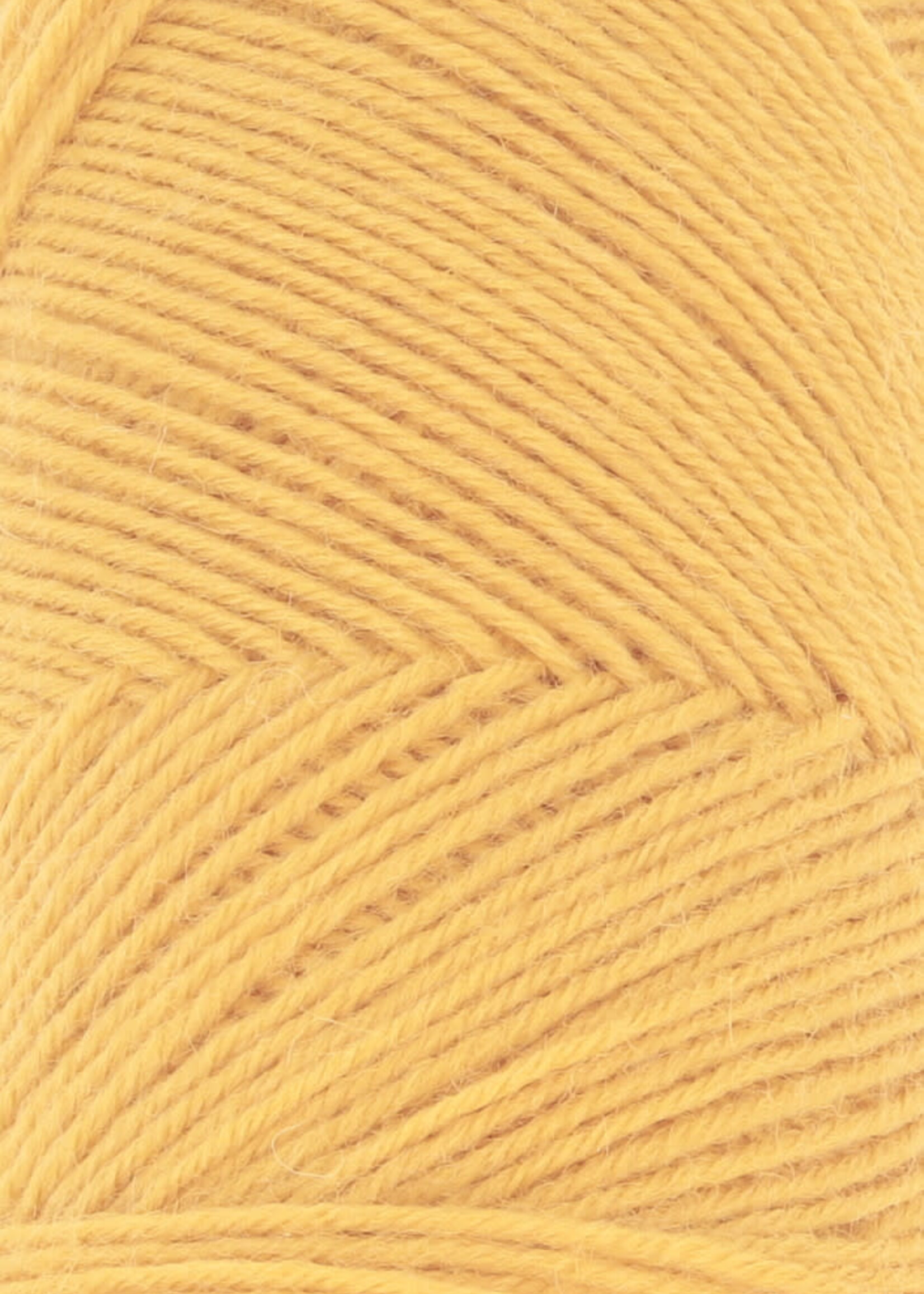 Lang Lang Yarns Jawoll | 0249 goud geel