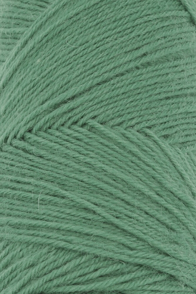 Lang Lang Yarns Jawoll | 0318 groen Lang Lang Yarns Jawoll | 0318 groen