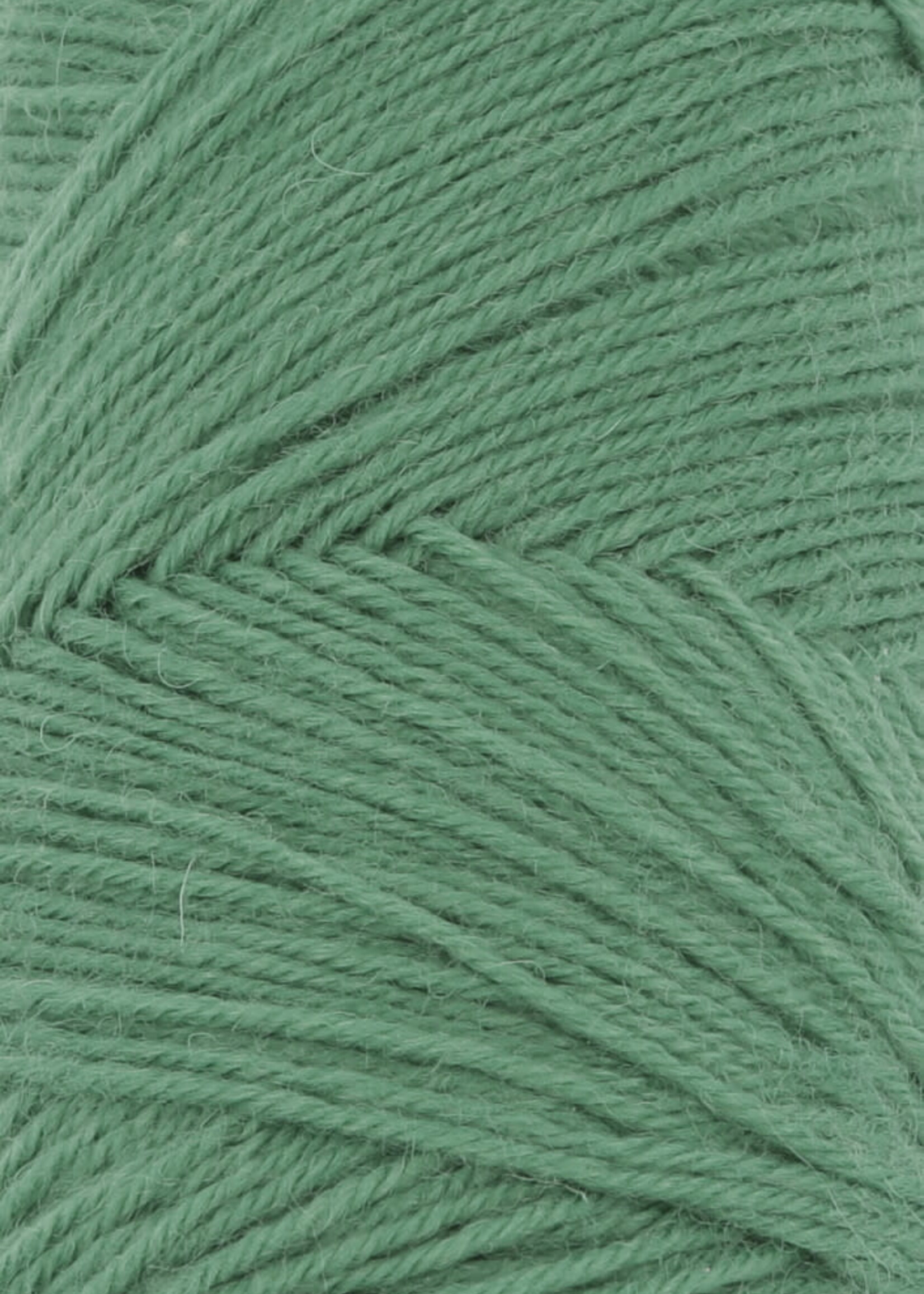 Lang Lang Yarns Jawoll | 0318 groen