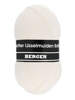 Botter IJsselmuiden Botter IJsselmuiden Bergen | 002