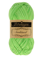 Scheepjes Scheepjes Sunkissed | 014