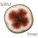 Scheepjes Scheepjes Whirl | 777 Scrumpthious Lush Scheepjes Scheepjes Whirl | 777 Scrumpthious Lush