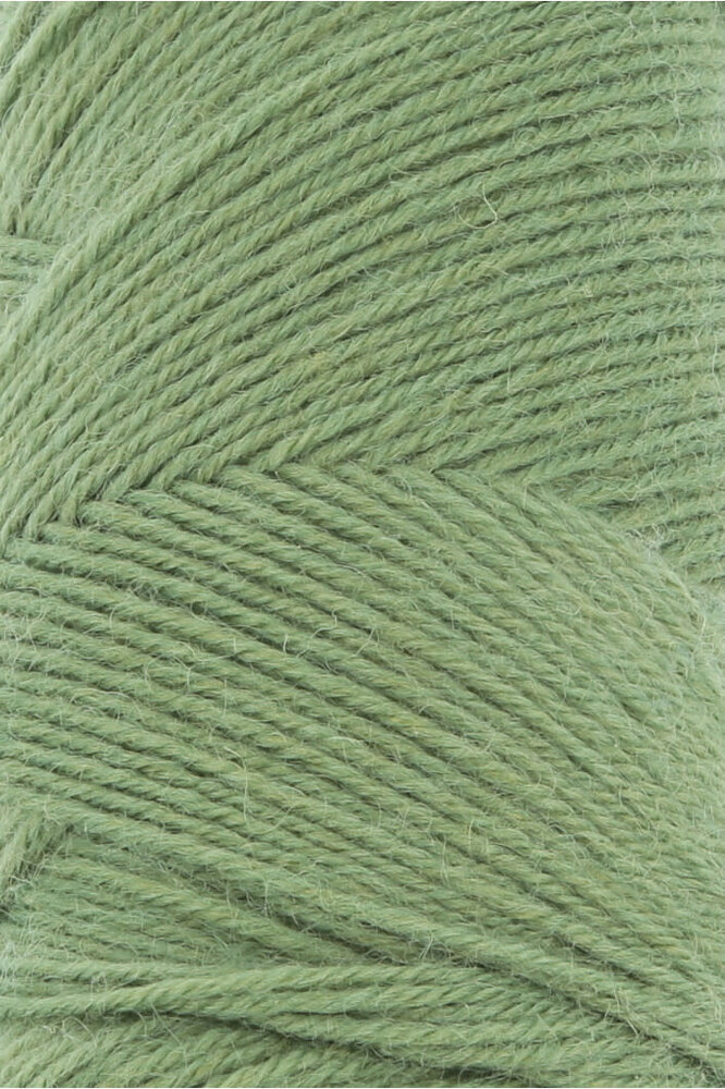 Lang Lang Yarns Jawoll | 0198 fern Lang Lang Yarns Jawoll | 0198 fern