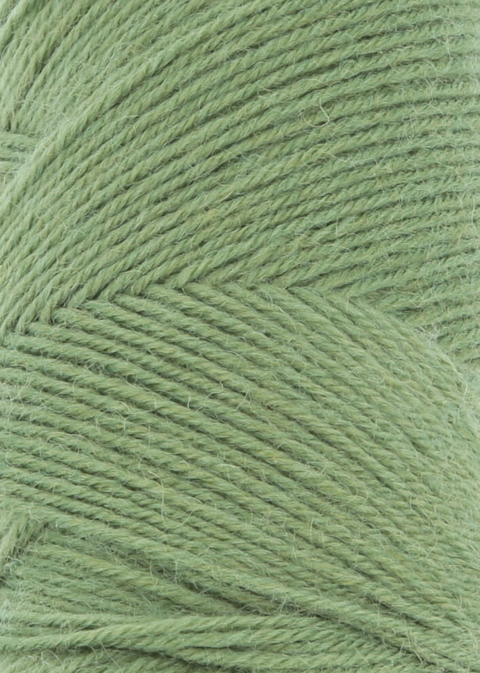 Lang Lang Yarns Jawoll | 0198 fern