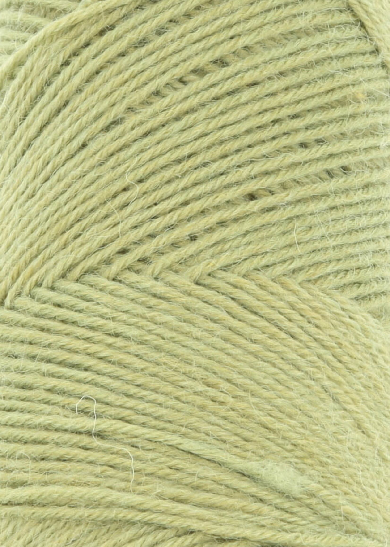 Lang Lang Yarns Jawoll | 0116 kiwi