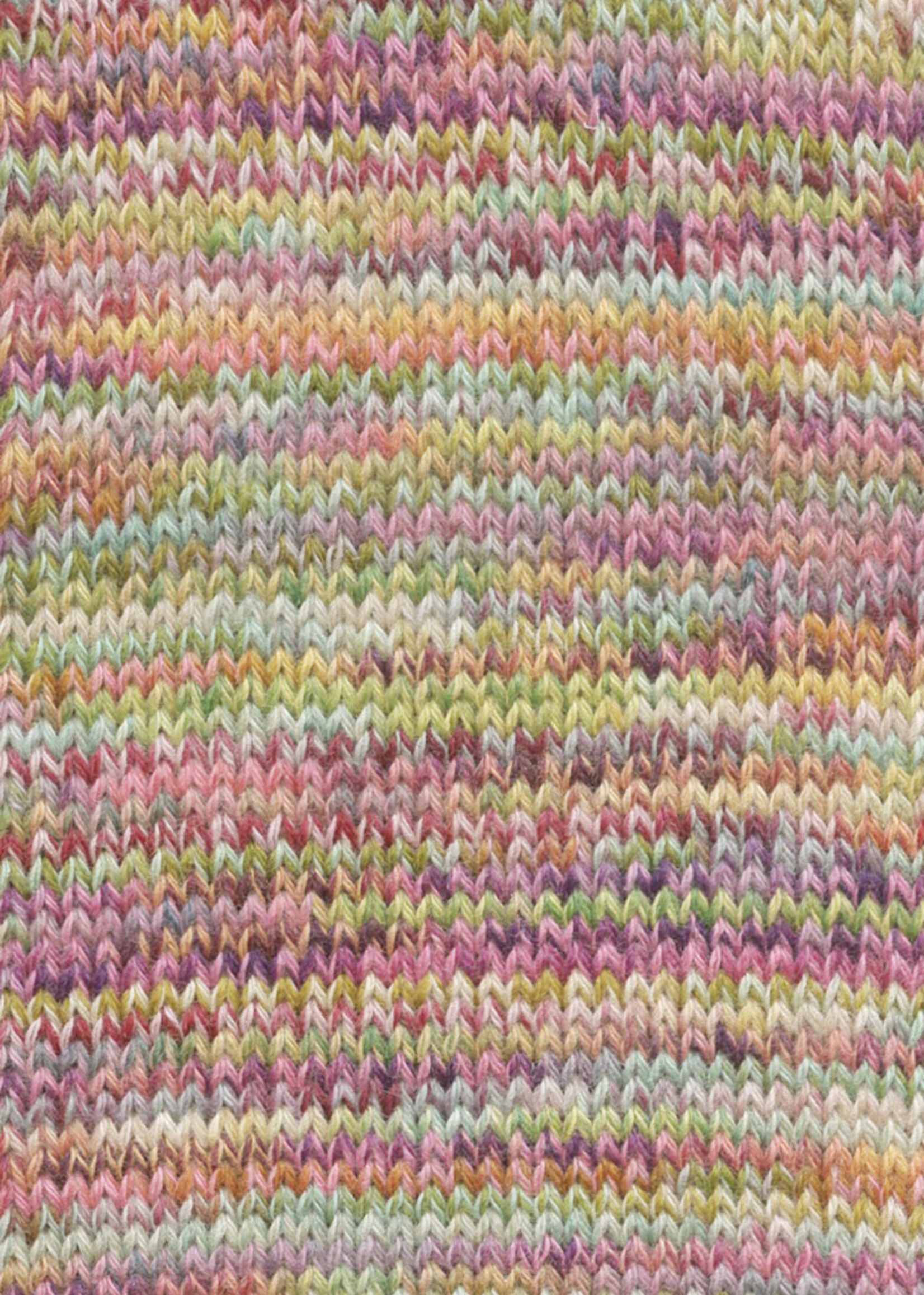 Lang Lang Yarns Footprints | 0003 multikleur