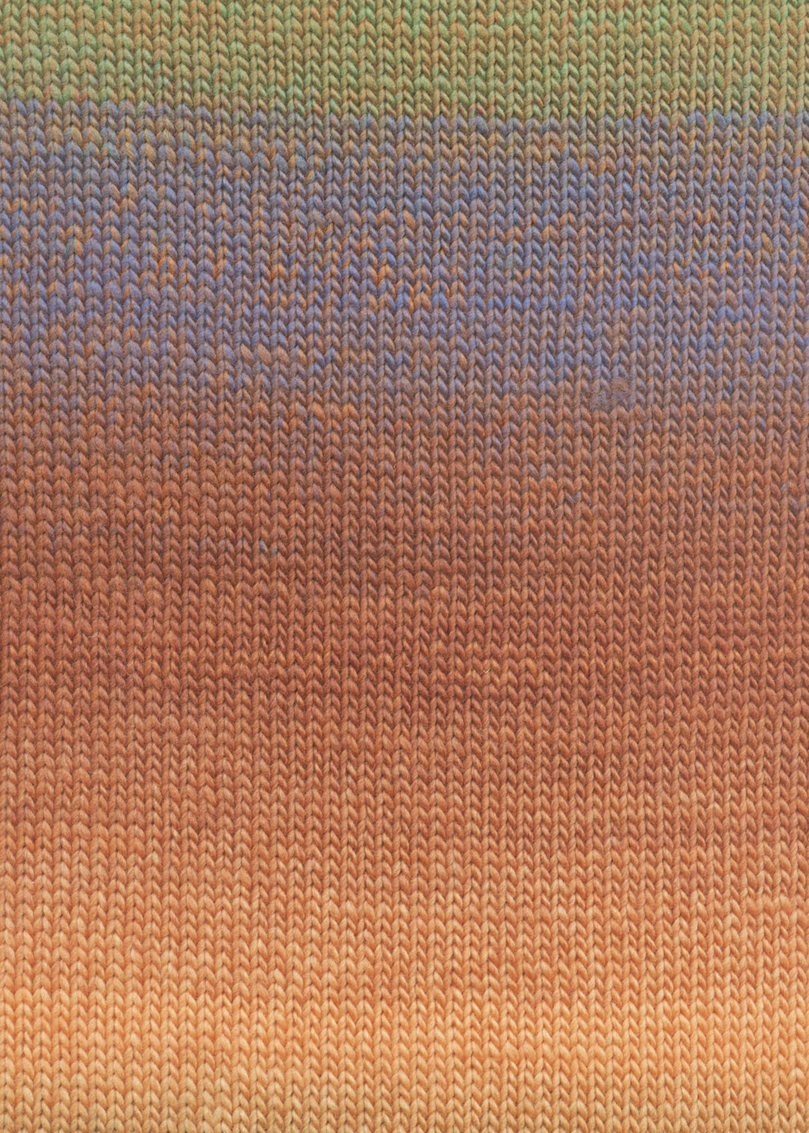 Lang Lang Yarns Lovis | 0008 oranje/groen/blauw