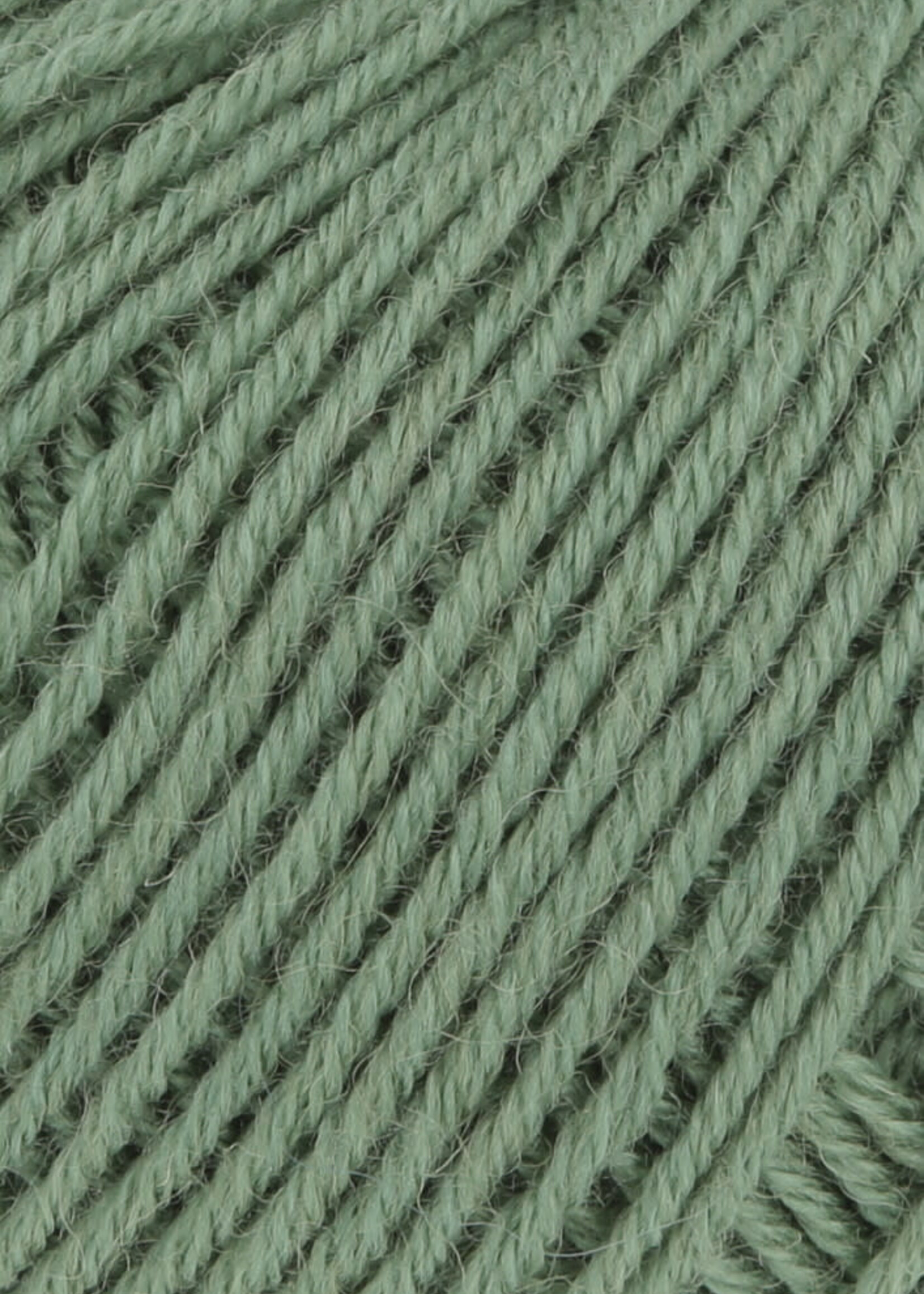 Lang Lang Yarns Atlantis | 0091 klimop groen