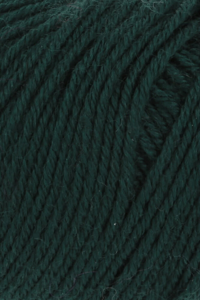 Lang Lang Yarns Atlantis | 0017 spar groen Lang Lang Yarns Atlantis | 0017 spar groen