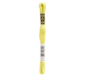 DMC DMC Mouliné Spécial | 11