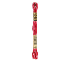 DMC DMC Mouliné Spécial | 107