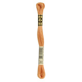 DMC DMC Mouliné Spécial | 402