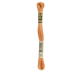 DMC DMC Mouliné Spécial | 402