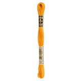 DMC DMC Mouliné Spécial | 741