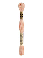 DMC DMC Mouliné Spécial | 754