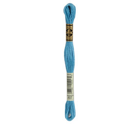 DMC DMC Mouliné Spécial | 807