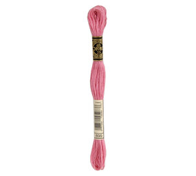 DMC DMC Mouliné Spécial | 899