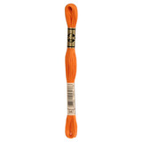 DMC DMC Mouliné Spécial | 947