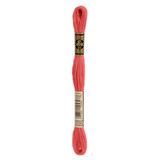 DMC DMC Mouliné Spécial | 3705