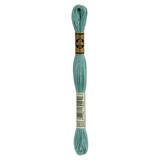 DMC DMC Mouliné Spécial | 3816