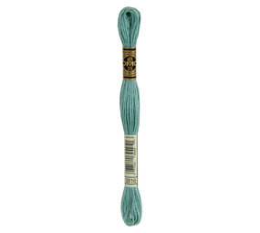 DMC DMC Mouliné Spécial | 3816 DMC DMC Mouliné Spécial | 3816