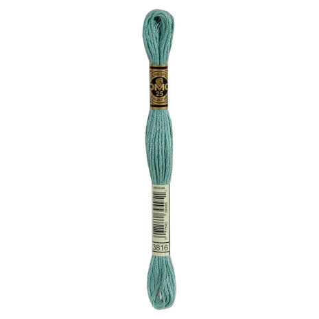 DMC DMC Mouliné Spécial | 3816 DMC DMC Mouliné Spécial | 3816