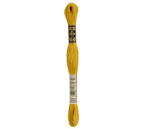 DMC DMC Mouliné Spécial | 3852