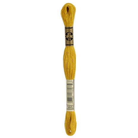 DMC DMC Mouliné Spécial | 3852 DMC DMC Mouliné Spécial | 3852