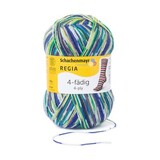 Regia Regia Color 4-ply | 7205