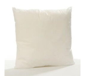 Binnen kussen 45x45cm Binnen kussen 45x45cm