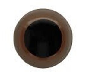 Oog tweekleurig bruin-zwart