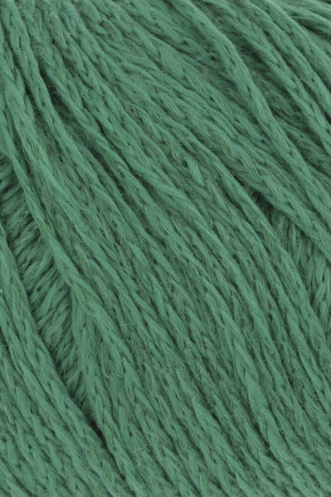 Lang Lang Yarns Venus | 0017 groen Lang Lang Yarns Venus | 0017 groen